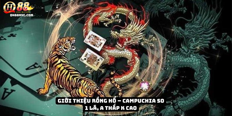 Rồng Hổ QH88 – Trò chơi tốc độ, thắng nhanh Trúng Lớn - Zohije
