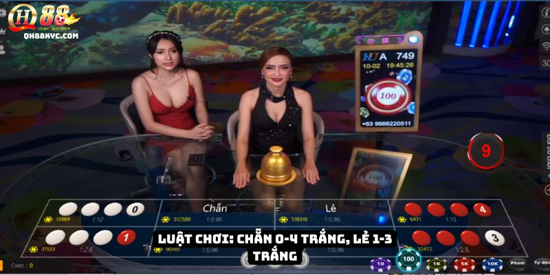 Xóc đĩa QH88 – Trải nghiệm trò chơi dân gian đỉnh cao - Zohije